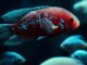 Mykobakterioza – czy ryby mogą chorować na gruźlicę
