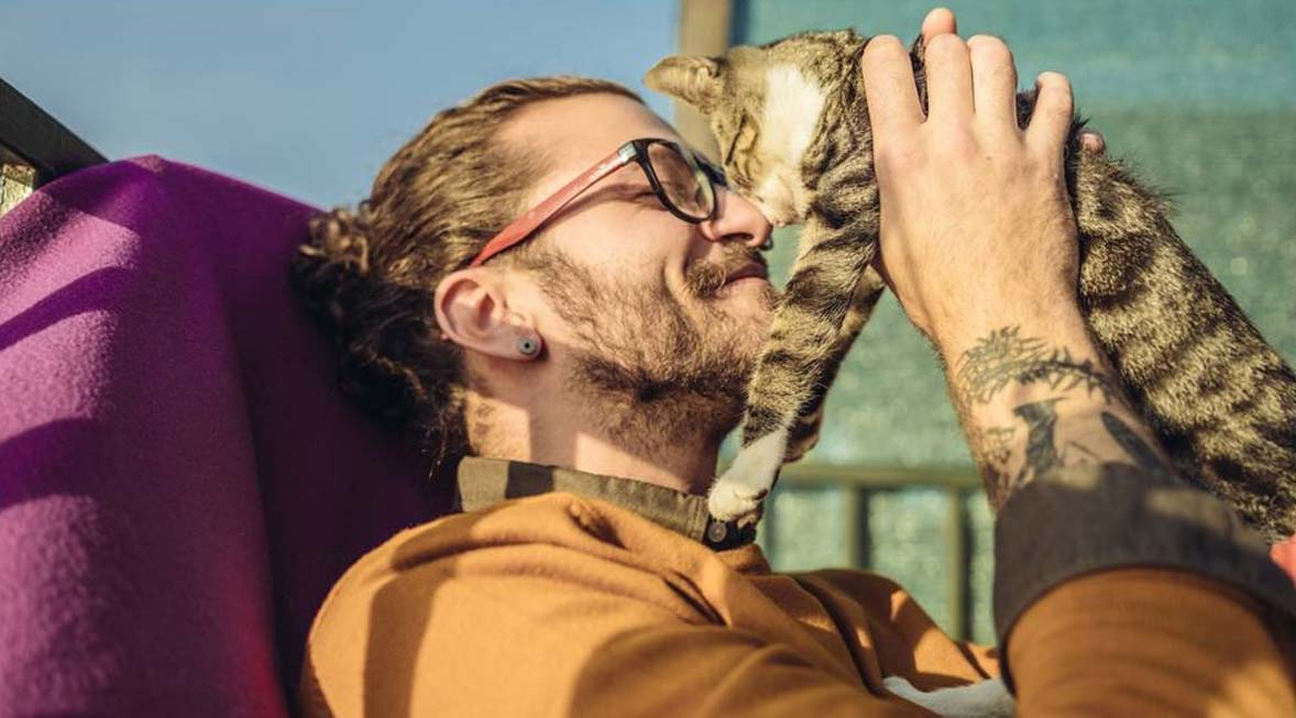 jak zadbać o psa i kota podczas urlopu